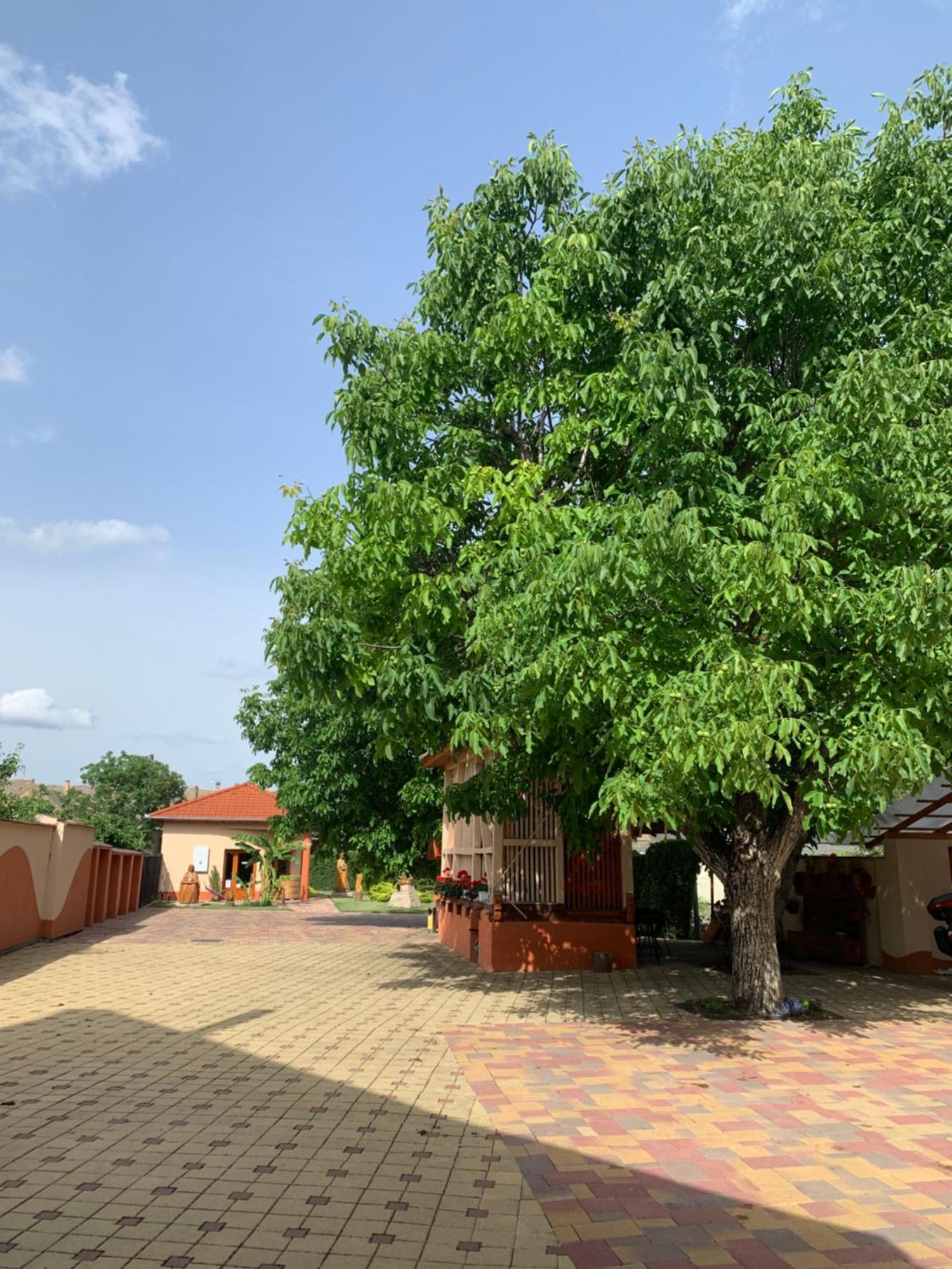Szent Istvan Wellness Panzio Makó Exterior foto
